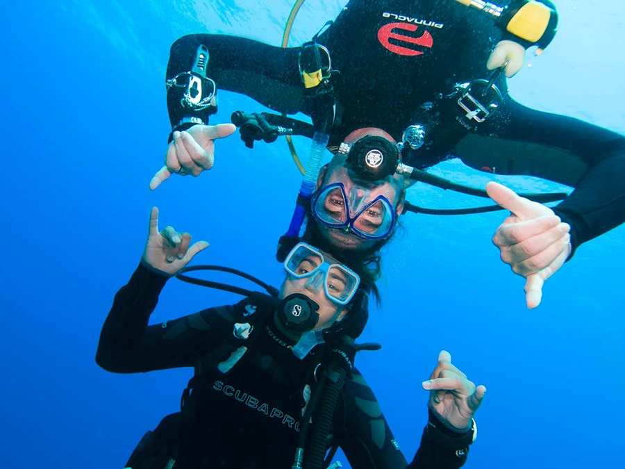 Plongeur professionnel