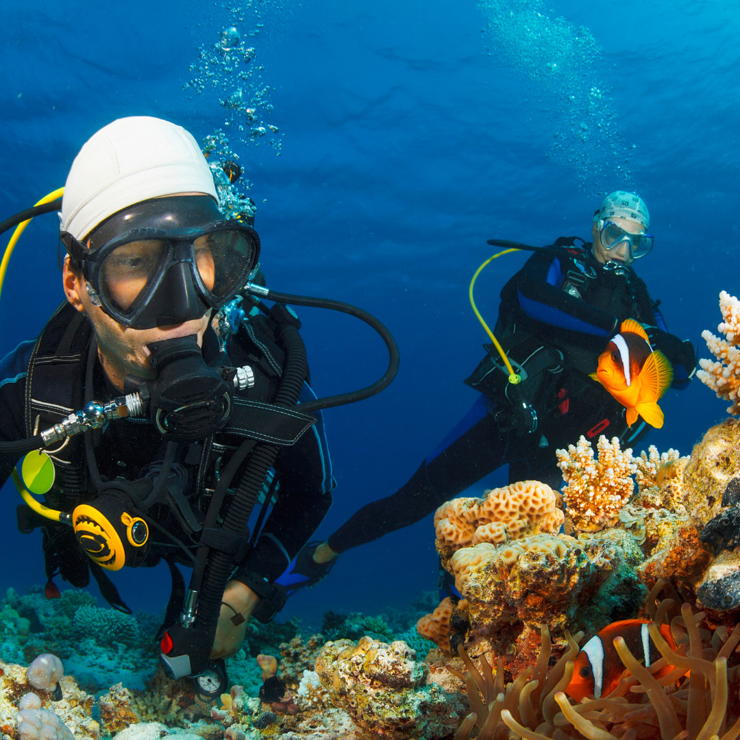 Inspection sous-marine